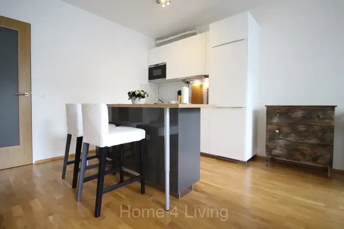Prodej bytu 1+kk, Brno, Božetěchova, 45 m2