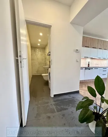 Pronájem bytu 2+kk, Praha - Žižkov, 80 m2