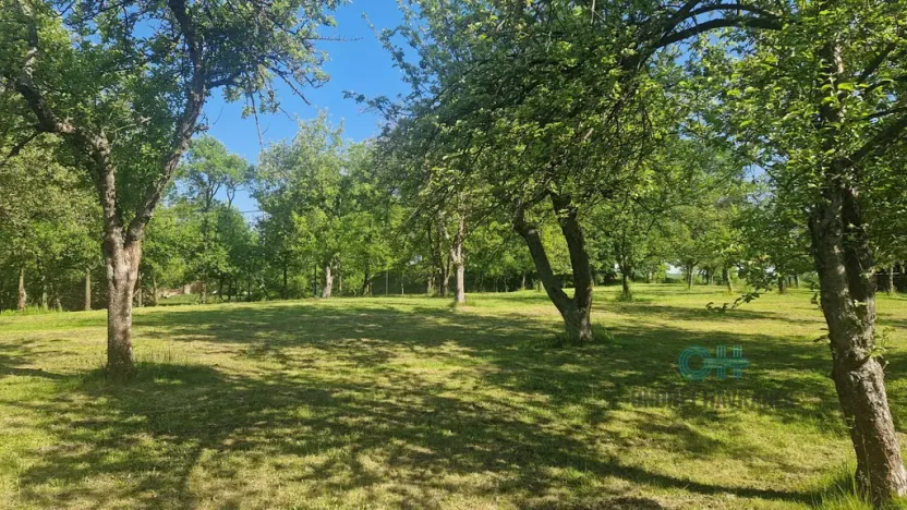 Prodej rodinného domu, Oprostovice, 330 m2