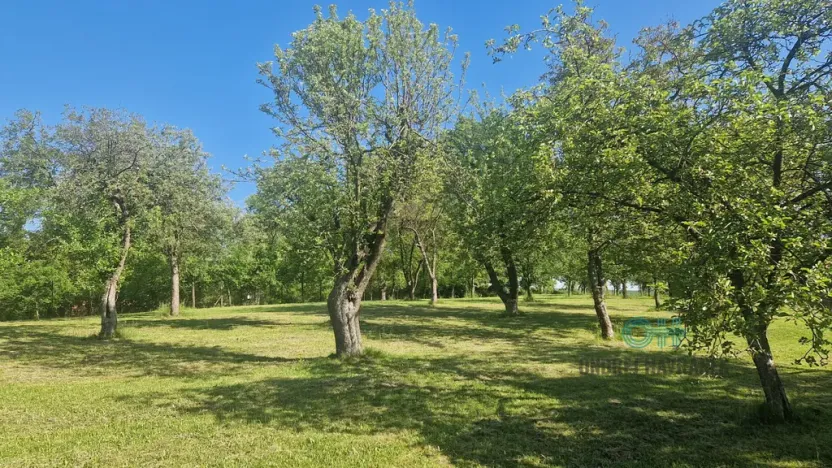 Prodej rodinného domu, Oprostovice, 330 m2