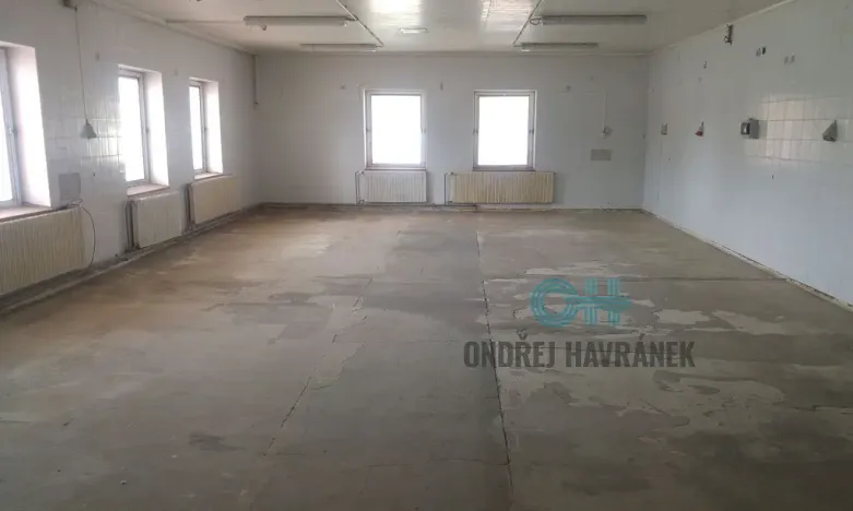 Pronájem skladu, Holešov, Tovární, 645 m2