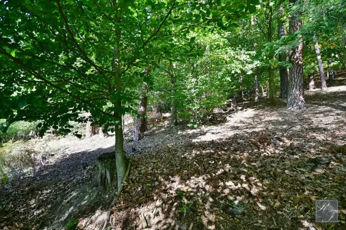 Prodej rodinného domu, Děčín, Včelná, 120 m2