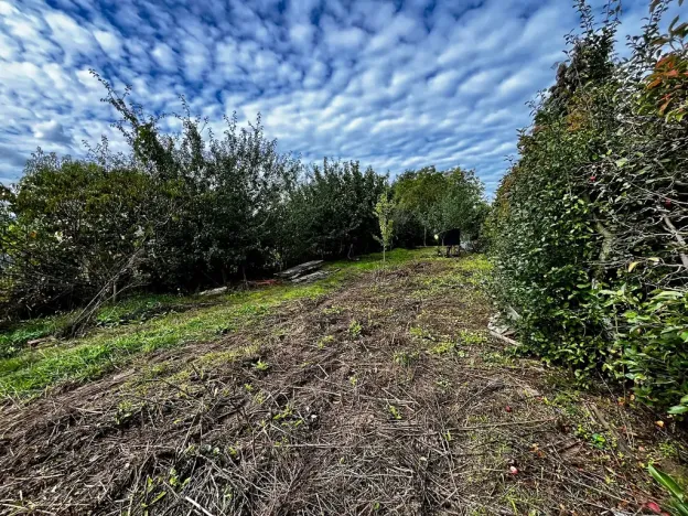 Prodej rodinného domu, Výšovice, 124 m2