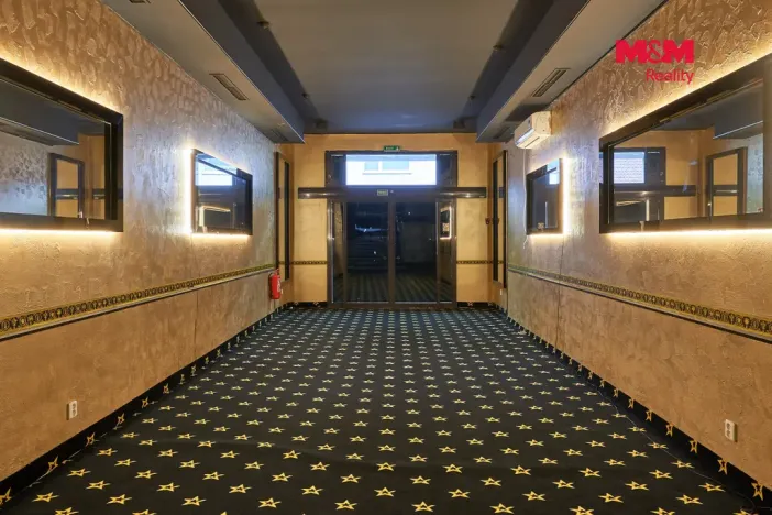 Pronájem obchodního prostoru, Uherský Brod, Moravská, 205 m2