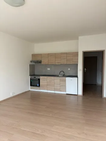 Pronájem bytu 1+kk, Liberec, Jeronýmova, 36 m2