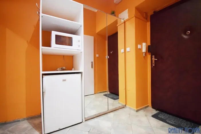 Pronájem bytu 1+kk, Praha - Žižkov, Blodkova, 20 m2