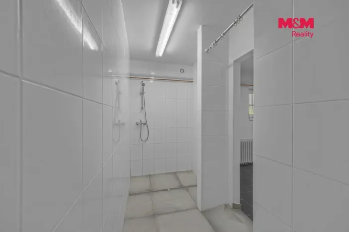 Prodej obchodního prostoru, Hradec Králové - Pražské Předměstí, Seydlerova, 195 m2