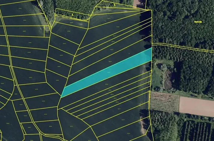 Prodej pole, 4511 m², Přísnotice