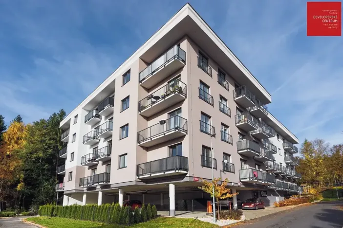 Prodej bytu 1+kk, Mariánské Lázně, Chebská, 31 m2