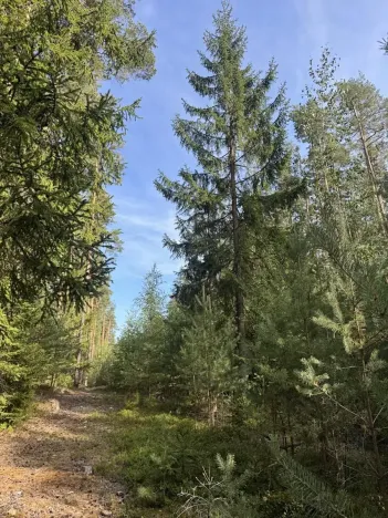 Prodej lesa, Novosedly nad Nežárkou, 67560 m2