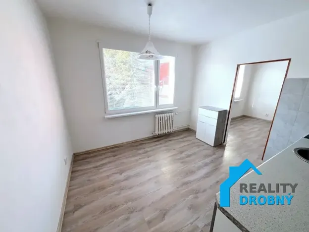 Pronájem bytu 1+1, Děčín, Labská, 37 m2