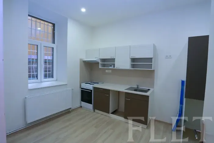 Pronájem bytu 1+1, Praha - Žižkov, Chelčického, 45 m2