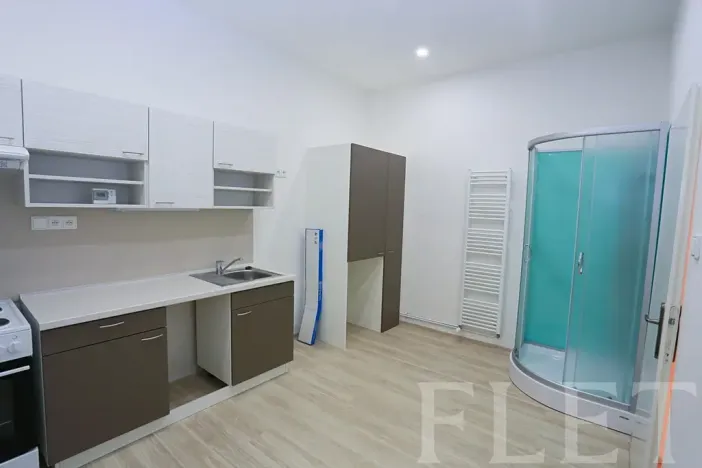 Pronájem bytu 1+1, Praha - Žižkov, Chelčického, 45 m2