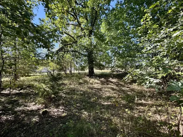 Prodej pozemku pro bydlení, Třeboň, 2630 m2