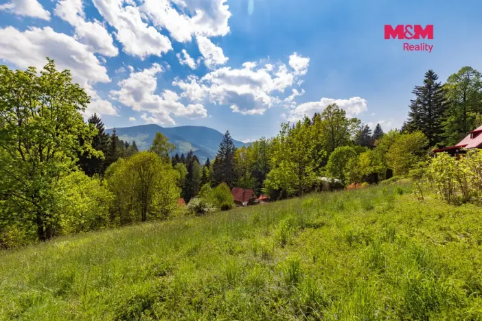 Prodej pozemku pro bydlení, Ostravice, 3902 m2