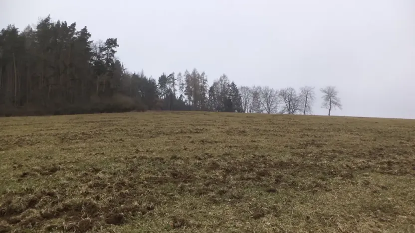 Prodej pole, Zvěstov - Bořkovice, 9983 m2