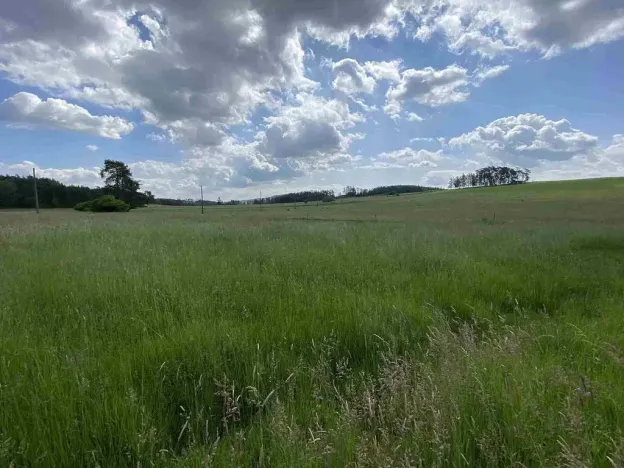 Prodej pozemku, Planá - Pavlovice, 1400 m2
