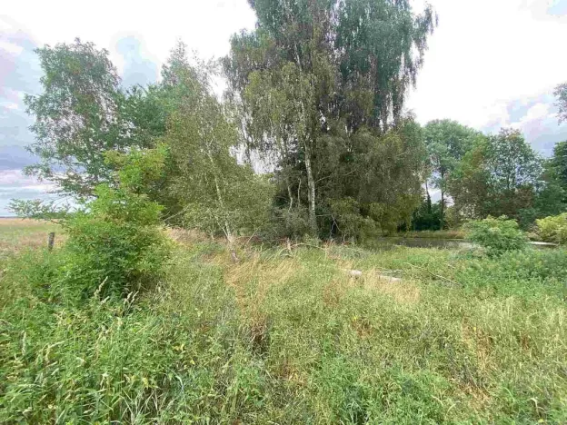 Prodej pozemku, 2230 m², Kladruby, Tuněchody