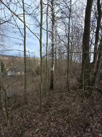 Prodej lesa, Rokytnice v Orlických horách, 3079 m2