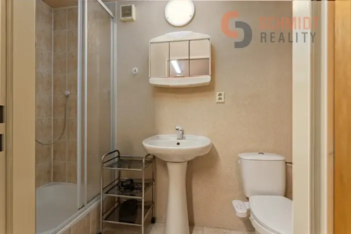 Prodej vícegeneračního domu, Hlohovec, Dolní konec, 259 m2