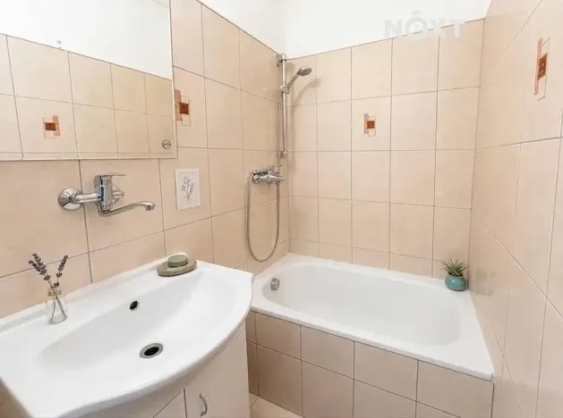 Pronájem bytu 2+kk, České Budějovice, Papírenská, 44 m2
