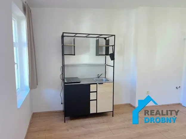 Pronájem bytu 1+kk, Děčín, Nerudova, 20 m2