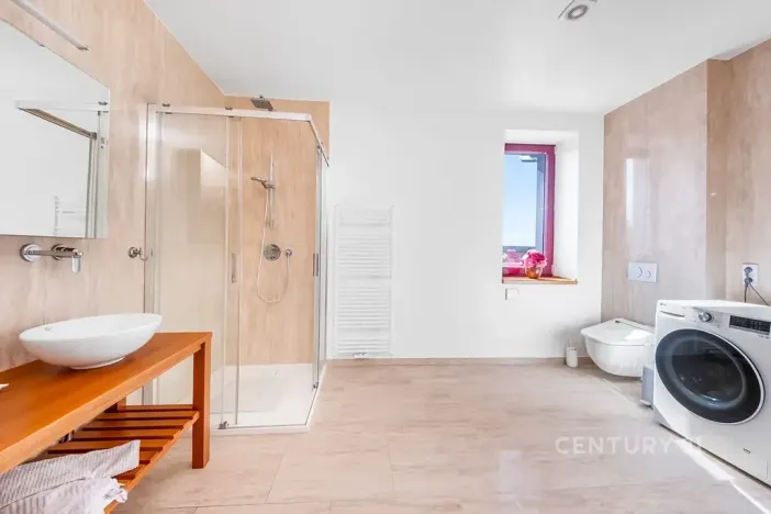 Pronájem rodinného domu, Bašť, Břežanská, 246 m2