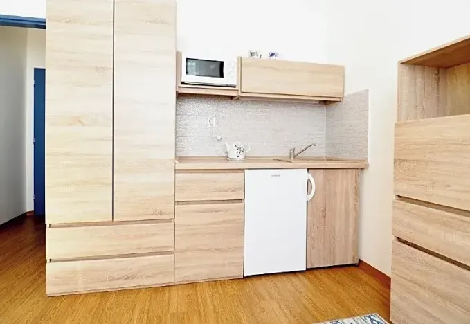 Prodej bytu 1+kk, Brno, Cejl, 17 m2