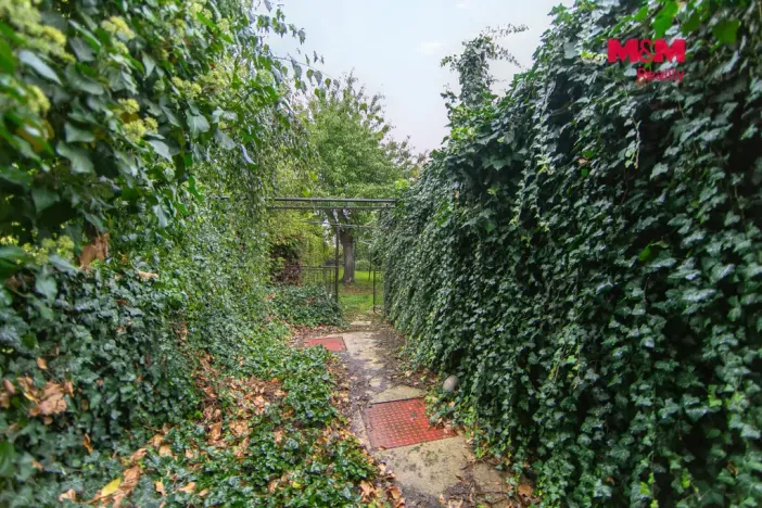 Pronájem rodinného domu, Srby, 103 m2