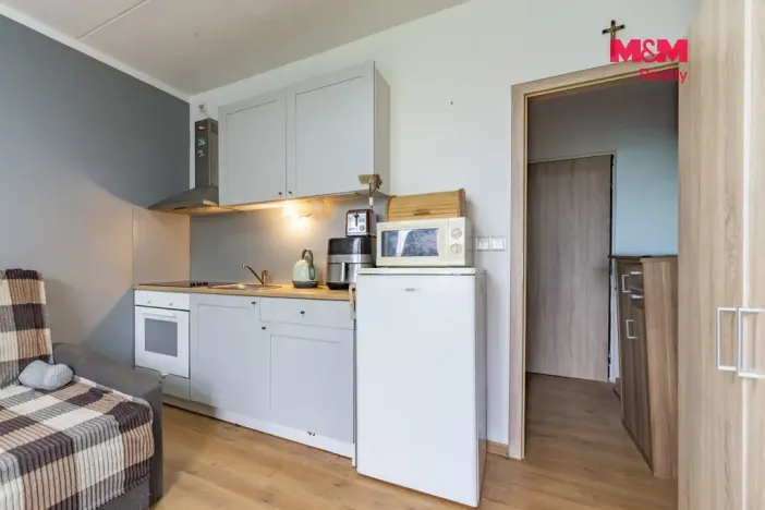 Prodej bytu 1+kk, Mariánské Lázně - Úšovice, Česká, 24 m2