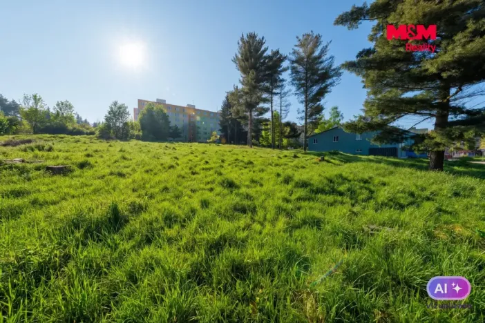 Prodej komerčního pozemku, Sokolov, Karla Havlíčka Borovského, 2821 m2