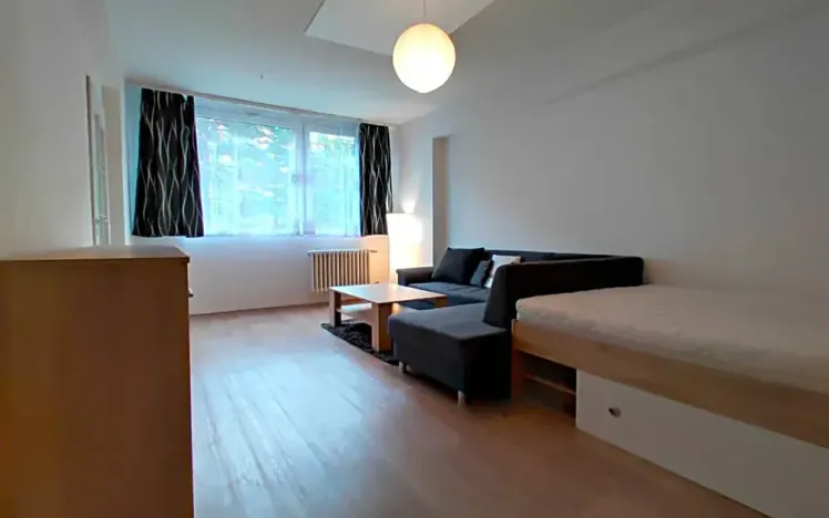 Pronájem bytu 1+1, 42 m², U Stadionu, Mladá Boleslav II