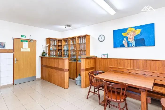 Pronájem výrobních prostor, Nová Ves u Chotěboře, 266 m2