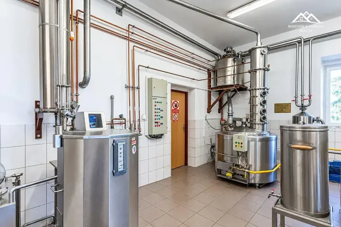 Pronájem výrobních prostor, Nová Ves u Chotěboře, 266 m2