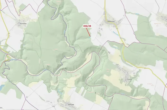 Dražba lesa, Ketkovice, 1686 m2