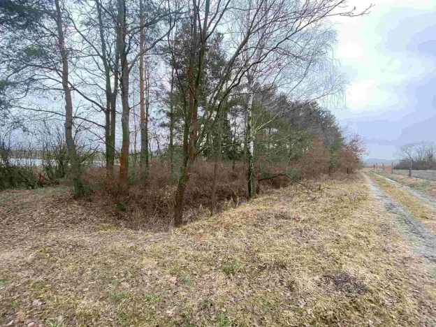 Prodej pozemku, 2121 m², Drahonice, Albrechtice