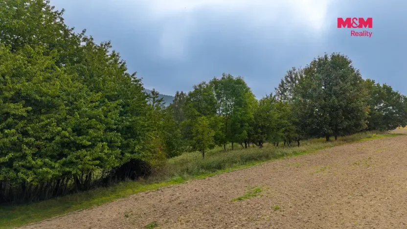Prodej pole, Blíževedly - Hvězda, 38582 m2
