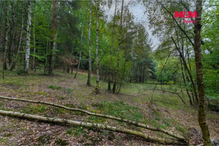 Prodej pole, Blíževedly, 51974 m2
