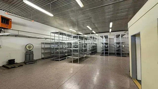 Pronájem lesa, 205 m², Holešov