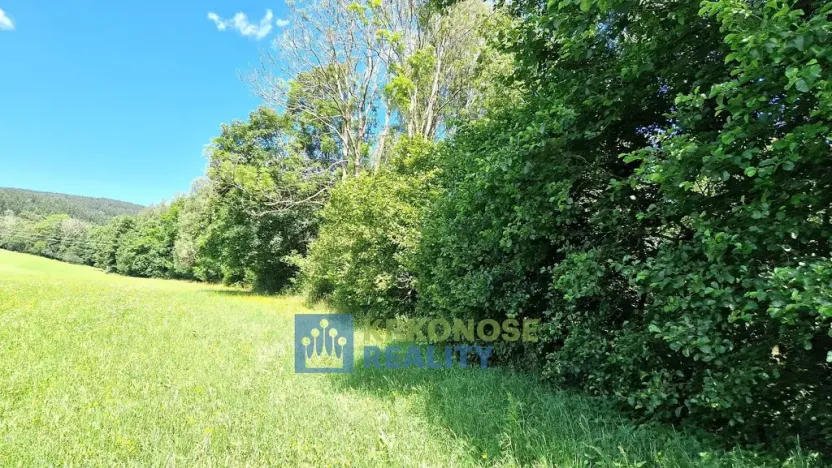 Prodej lesa, Trutnov - Babí, 44299 m2