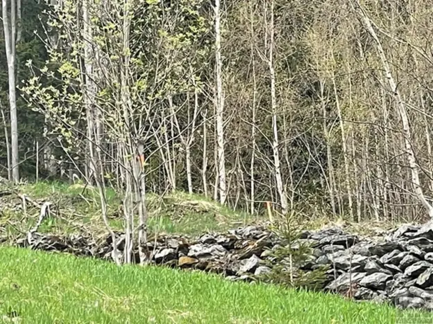 Prodej pozemku, 3303 m², Paseky nad Jizerou