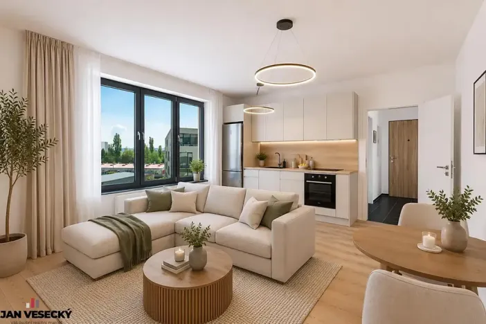 Prodej bytu 1+kk, Plzeň, Železná, 38 m2