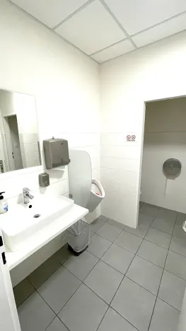 Pronájem kanceláře, Praha - Holešovice, Dělnická, 1252 m2