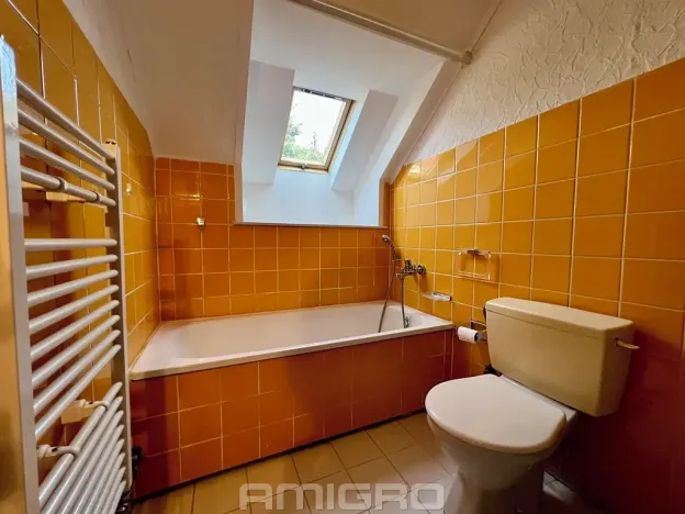 Prodej rodinného domu, Vranov, 220 m2