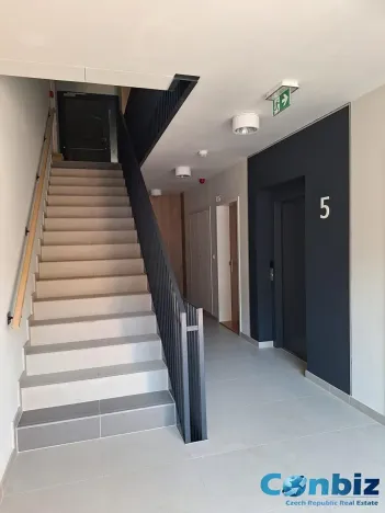 Pronájem bytu 2+kk, Praha - Karlín, Švarcova, 54 m2