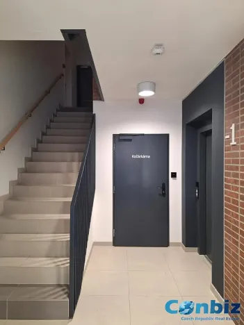 Pronájem bytu 2+kk, Praha - Karlín, Švarcova, 54 m2