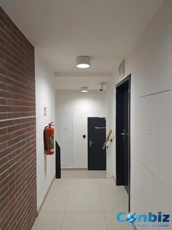 Pronájem bytu 2+kk, Praha - Karlín, Švarcova, 54 m2