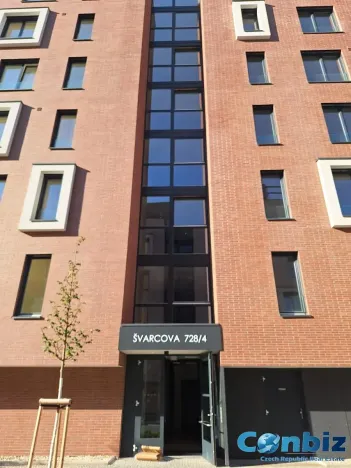 Pronájem bytu 3+kk, Praha - Karlín, Švarcova, 75 m2