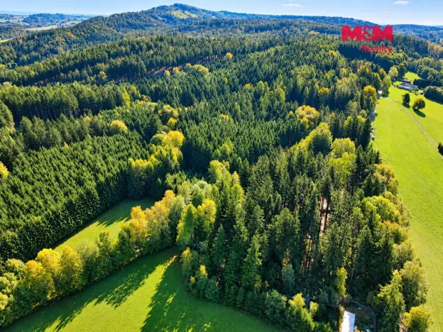 Prodej louky, Červený Kostelec - Bohdašín, 25690 m2