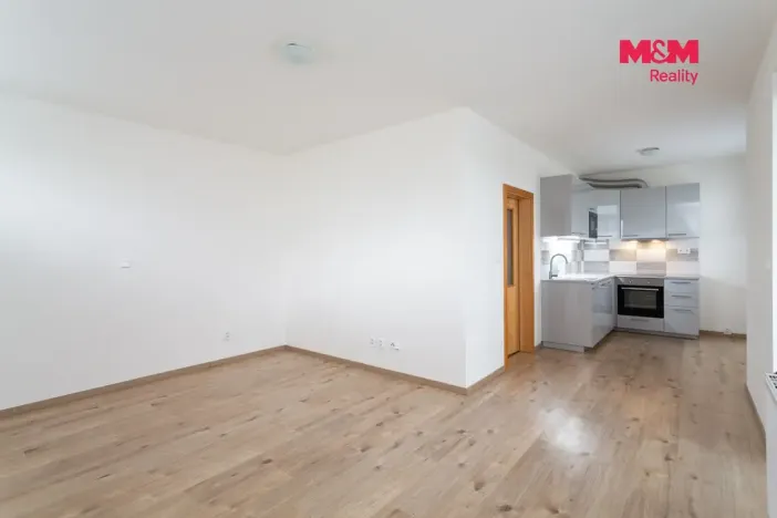 Pronájem bytu 1+kk, Plzeň - Litice, Vysoká, 38 m2